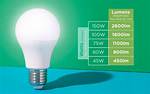 Do Watts Determine Brightness?