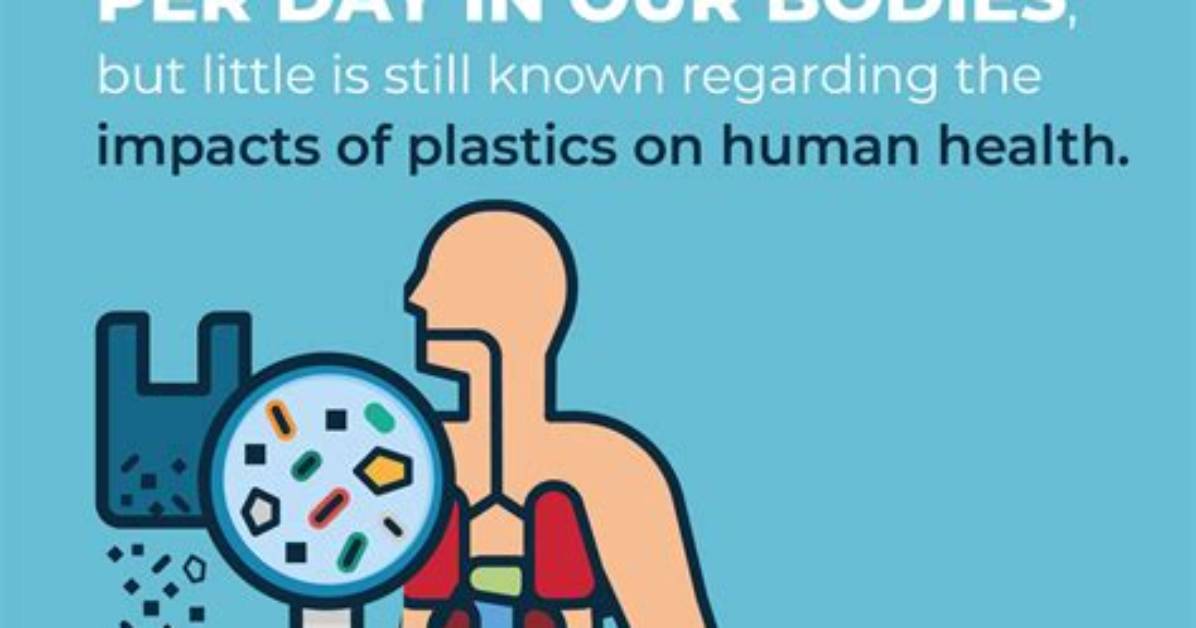 Do We Ingest Plastic?