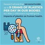 Do We Ingest Plastic?