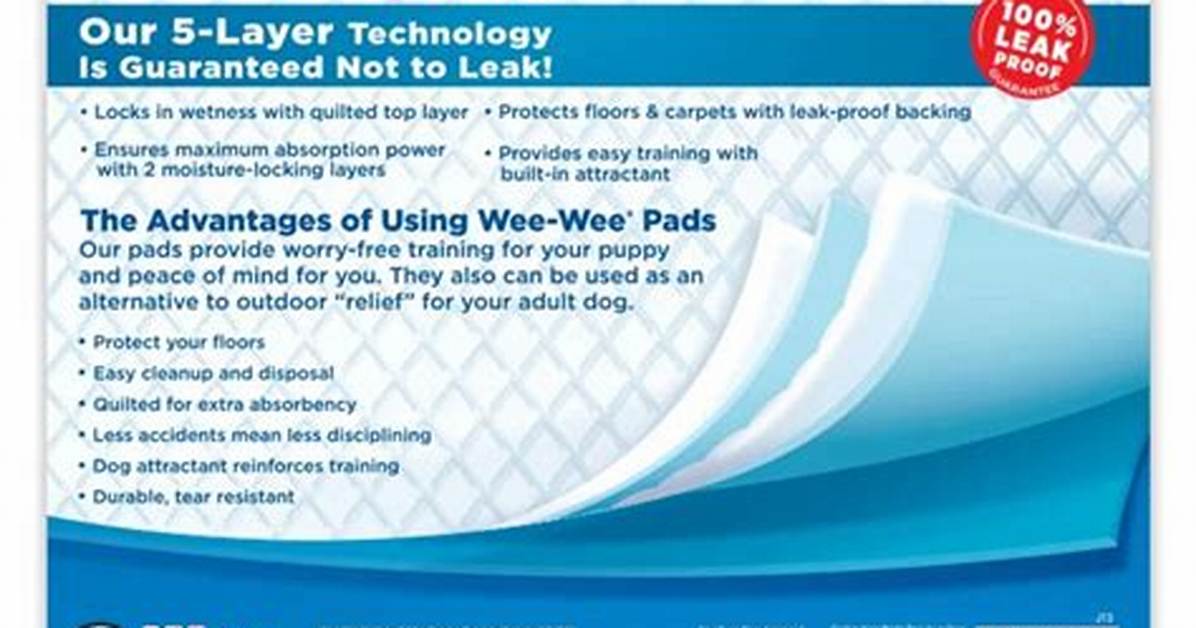Do Wee Wee Pads Work?