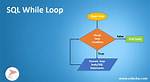 Do While Loop in Sql Server 2008
