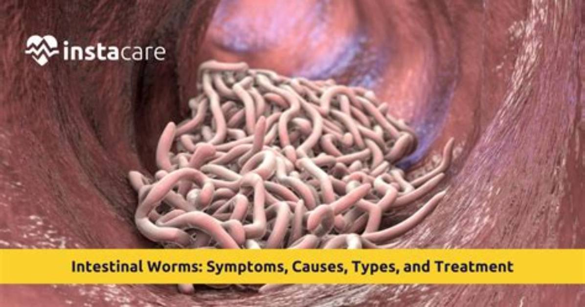 Do Worms Cause Overeating?
