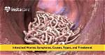 Do Worms Cause Overeating?