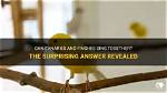 Do Yellow Canaries Sing? | Contextresponse. Com