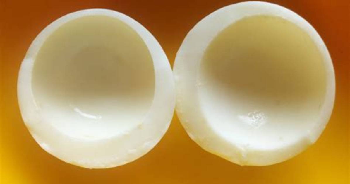 Do Yolkless Eggs Exist?