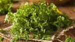 Do You Cook Chervil?