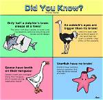 Do You Know Facts?