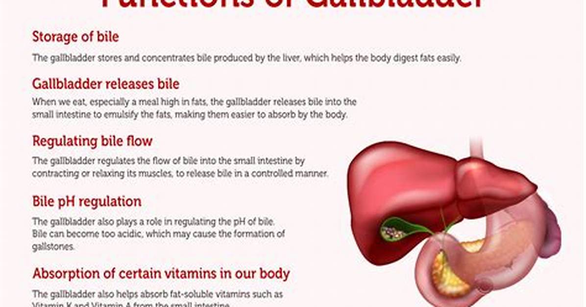Do You Need a Gallbladder?