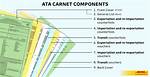 Do You Need Carnet?