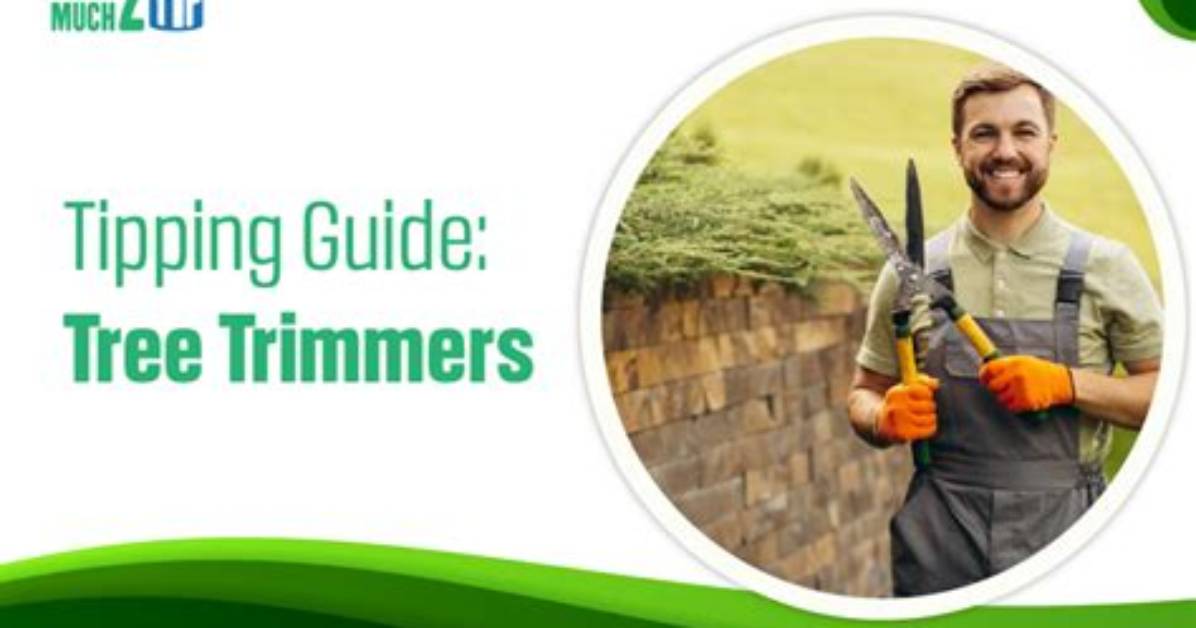 Do You Tip Tree Trimmers?