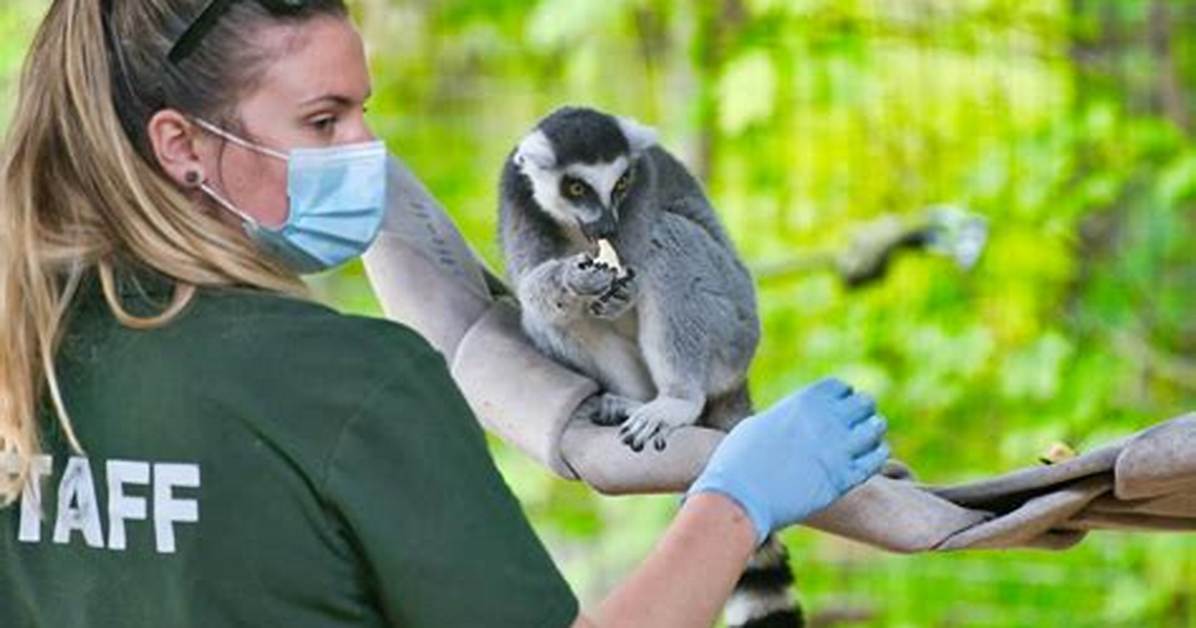 Do Zoologists Interact with Animals?