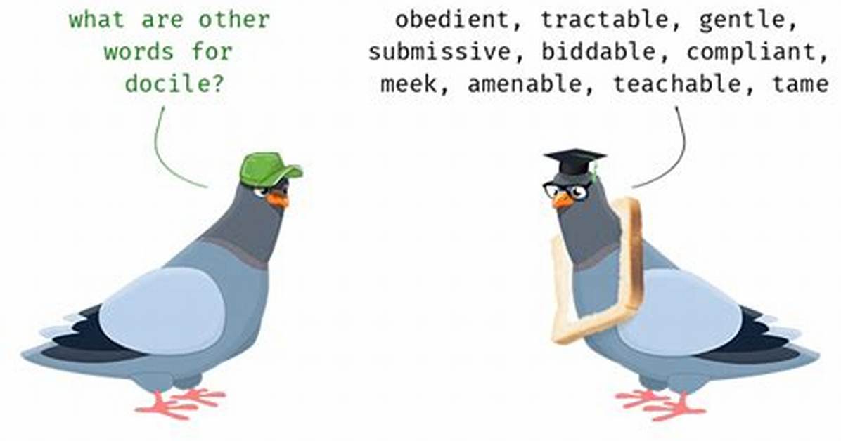 Docile Synonym