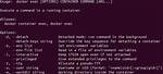 Docker Cmd Exec-Form for Multiple Command Execution
