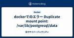 Docker - Duplicate Mount Point