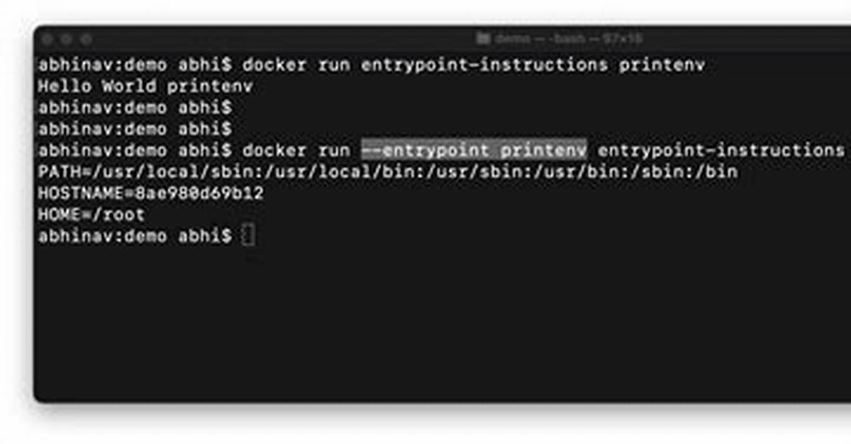 Docker Run Entrypoint