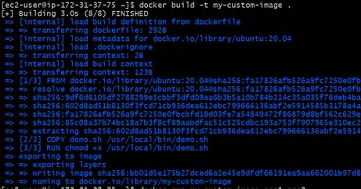 Docker Run Override Entrypoint with Shell Script Which Accepts Arguments