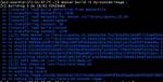 Docker Run Override Entrypoint with Shell Script Which Accepts Arguments