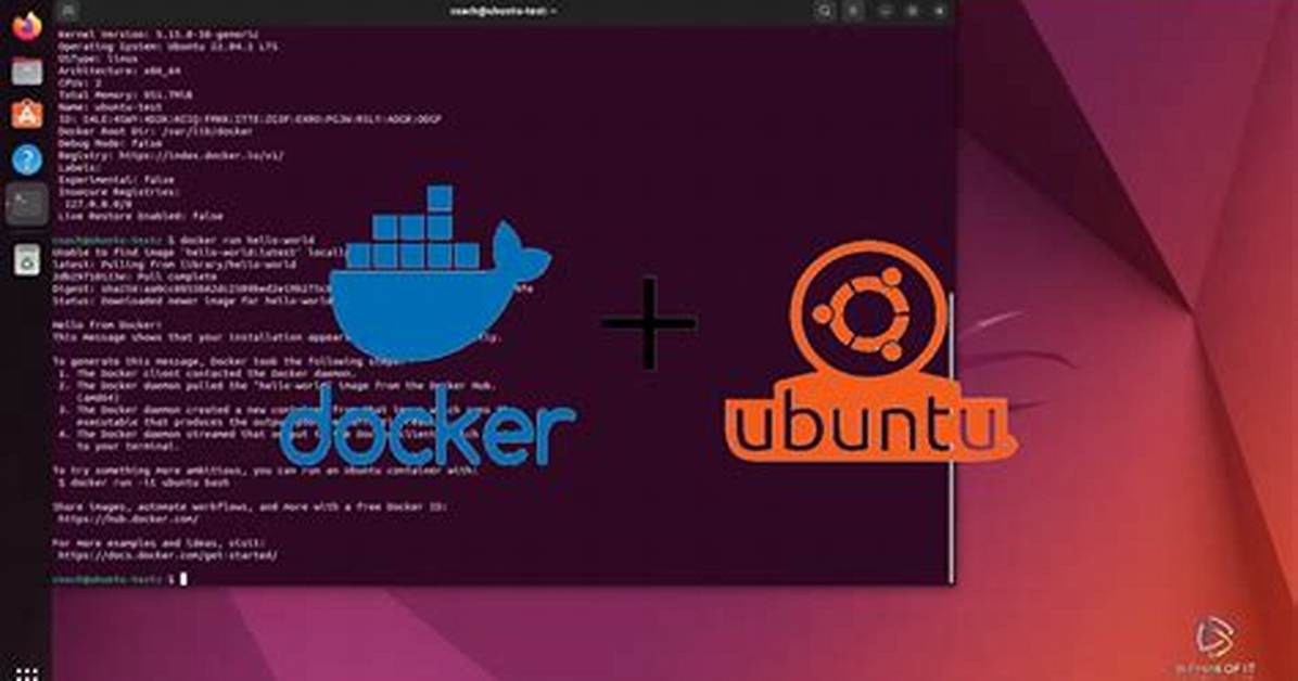 Docker Run Ubuntu /Bin/Bash vs Docker Run Ubuntu