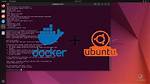Docker Run Ubuntu /Bin/Bash vs Docker Run Ubuntu