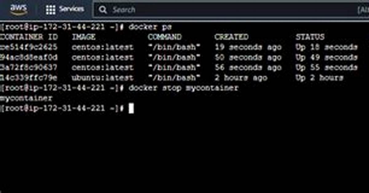 Docker Stop