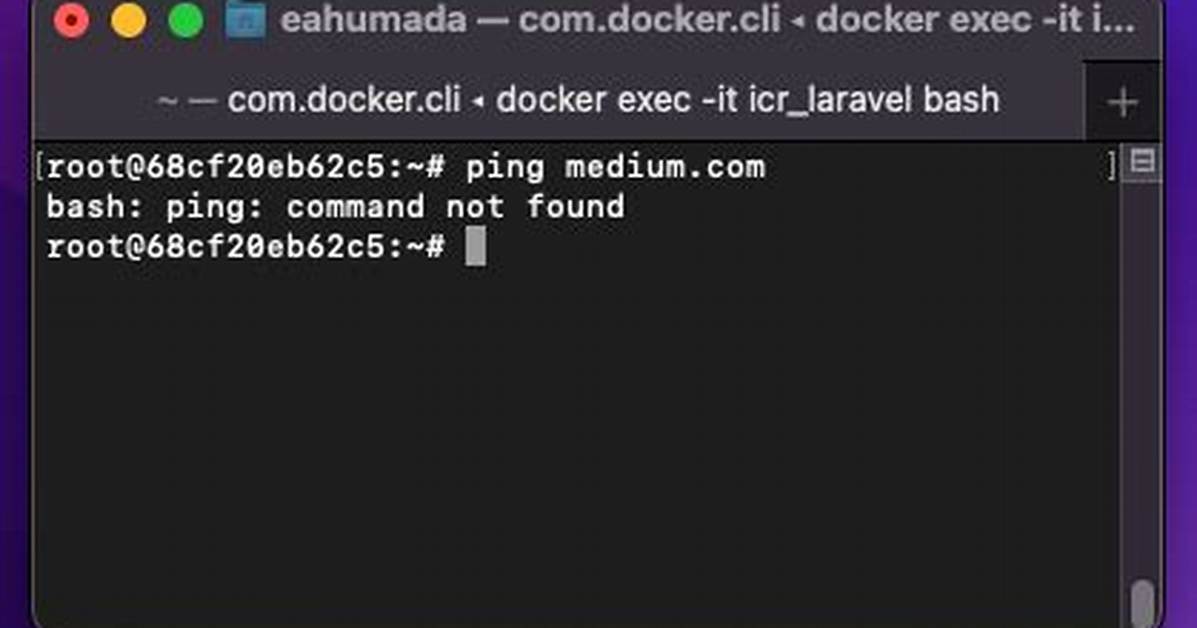 Docker - Ubuntu - Bash: Ping: Command Not Found