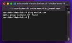 Docker - Ubuntu - Bash: Ping: Command Not Found