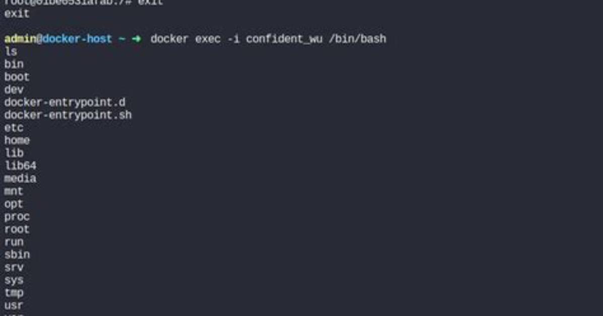 Docker Ubuntu Container Exec Does Not Replace Command