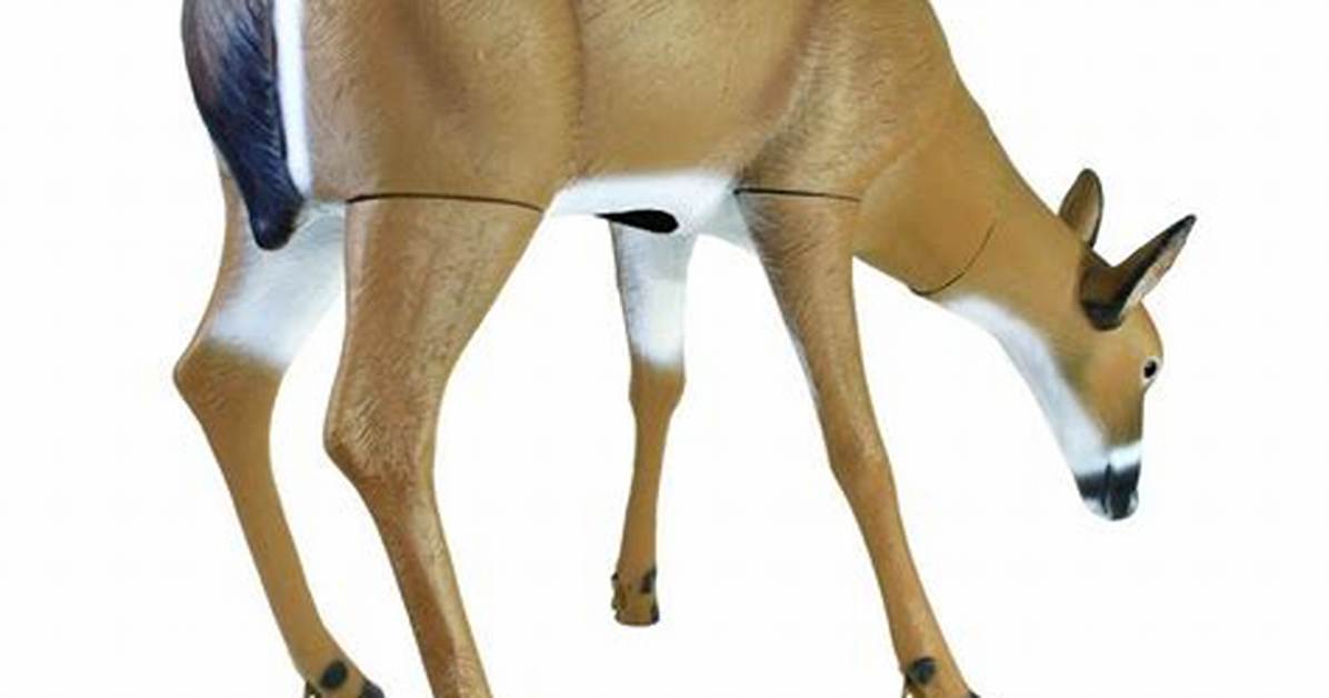 Doe Decoy