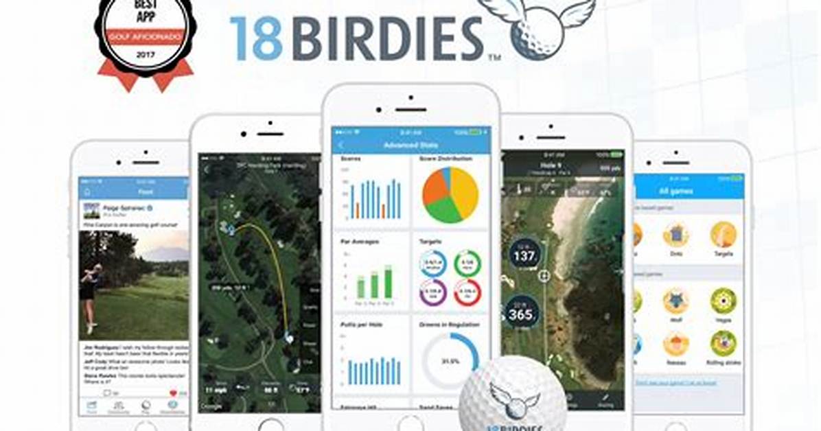 Does 18Birdies Use Data?