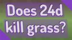 Does 24D Kill New Grass