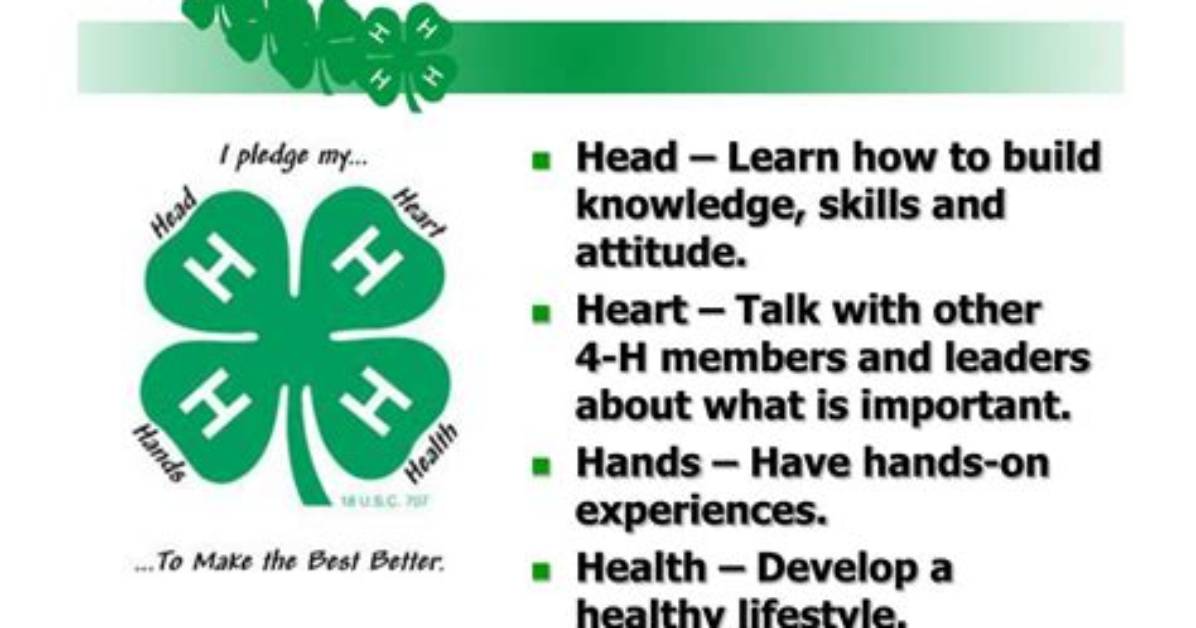 Does 4H Stand for?