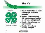 Does 4H Stand for?