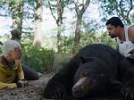 Does a Bear Snort?