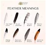 Does a Black Feather Mean?