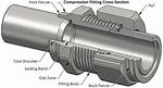 Does a Compression Cap Need a Ferrule?