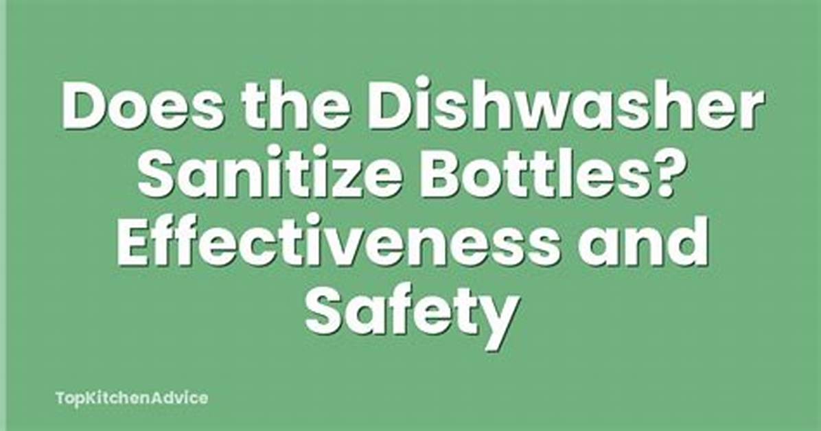 Does a Dishwasher Sanitize