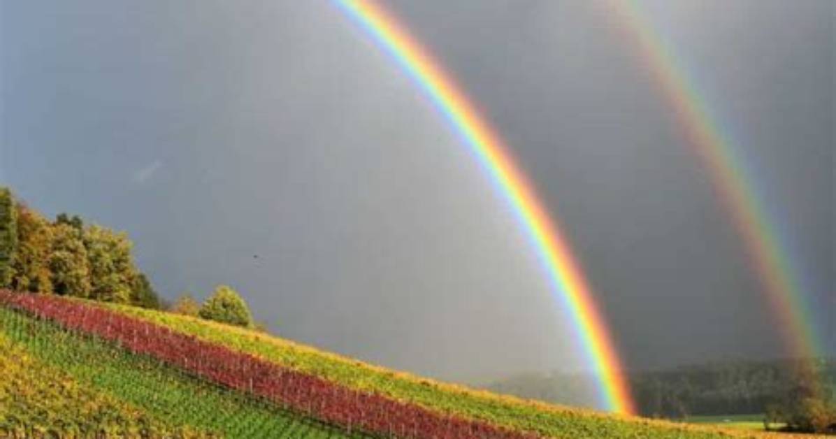 Does a Double Rainbow Mean?