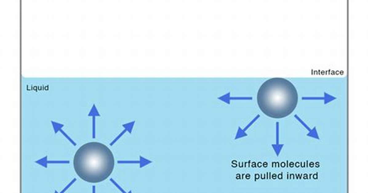 Does a Liquid Form an Upper Surface?
