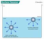 Does a Liquid Form an Upper Surface?