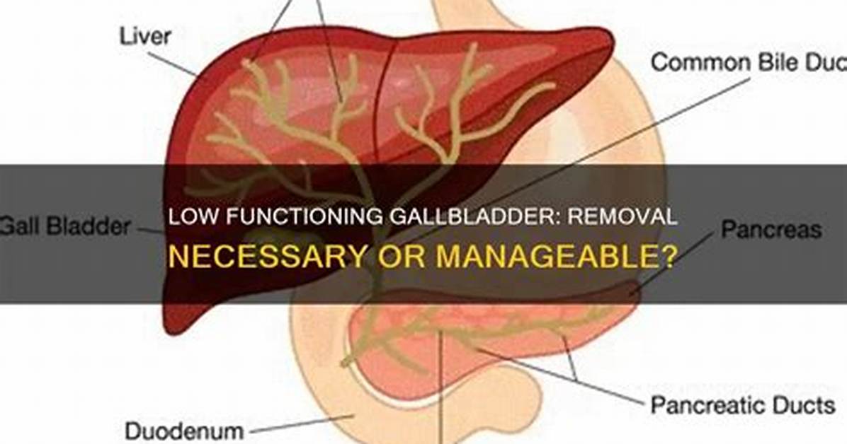 Does a Low Functioning Gallbladder Need to Be Removed