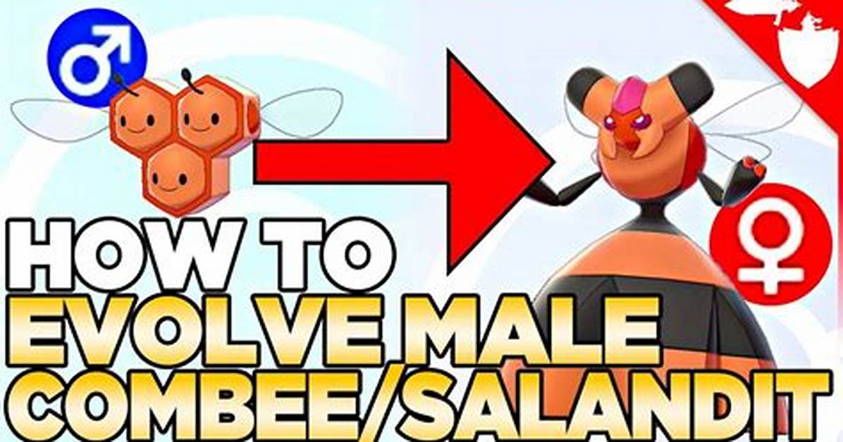 Does a Male Combee Evolve?