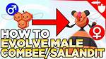 Does a Male Combee Evolve?