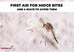 Does a Midge Bite?