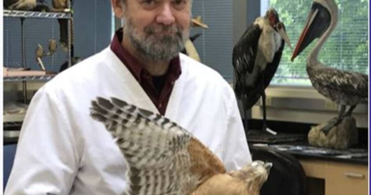 Does a Ornithologist Do?