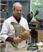 Does a Ornithologist Do?