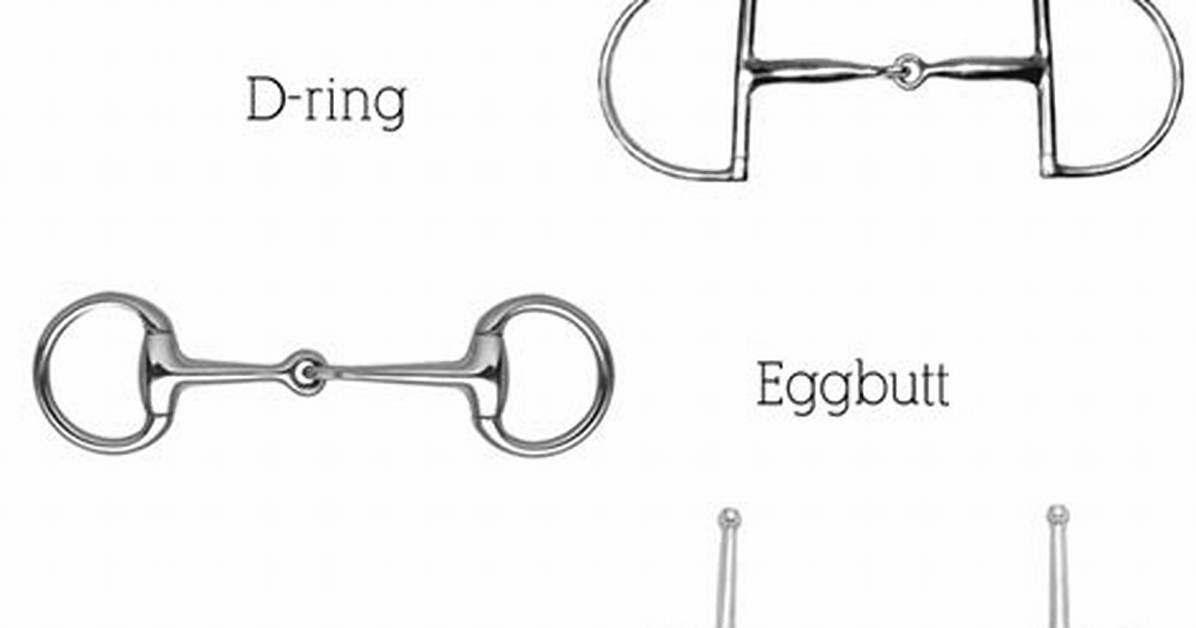 Does a Snaffle Bit Need a Curb Chain?