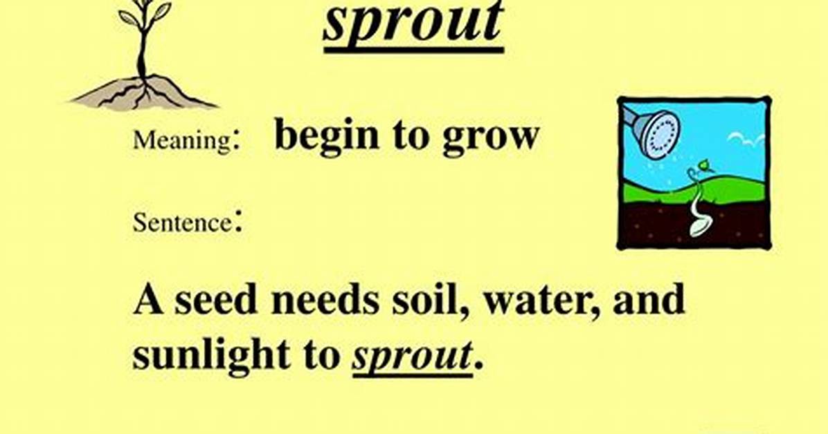 Does a Sprout Mean?
