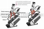 Does a Stepper Work Your Glutes?