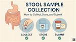 Does a Stool Sample Have to Be Refrigerated?