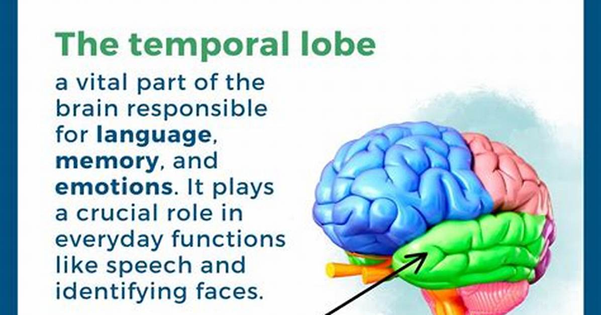 Does a Temporal Mean?